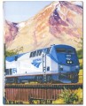 Amtrak Train Tablecover